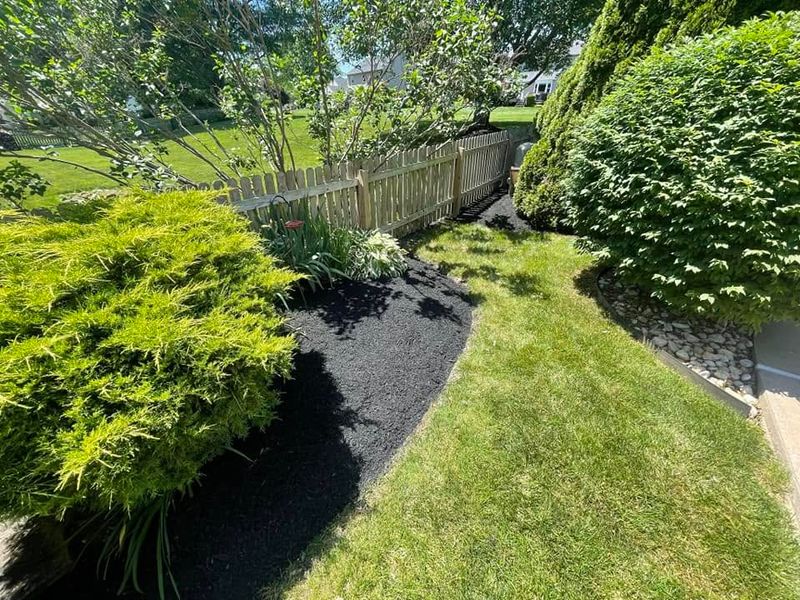Landscape Design