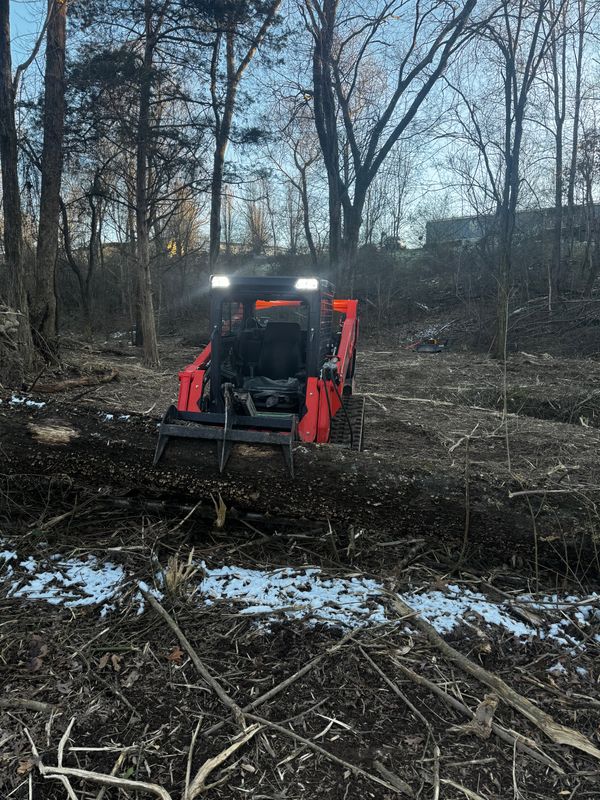 Forestry Mulching