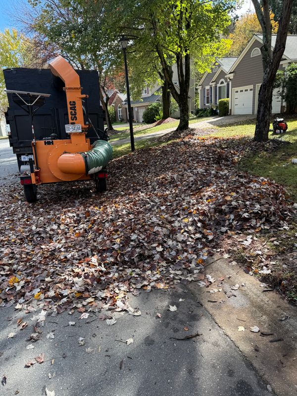 Leaf Removal