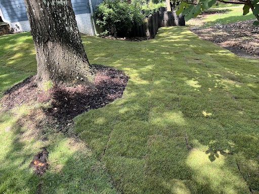 Landscape Design