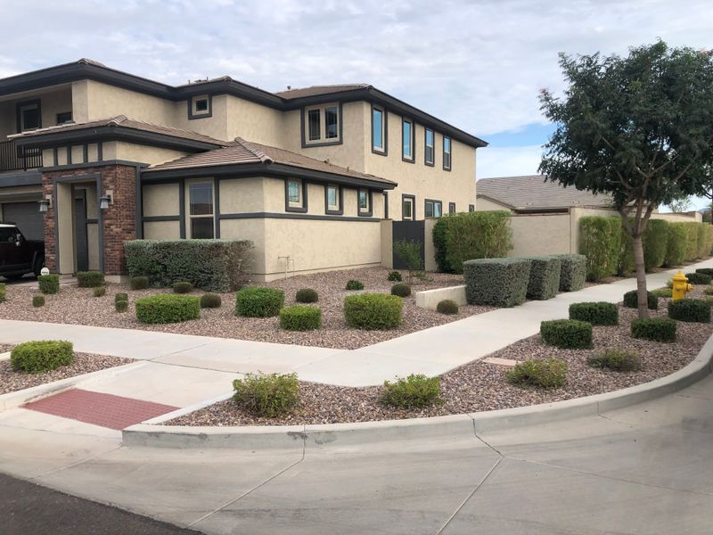Shrub Trimming
