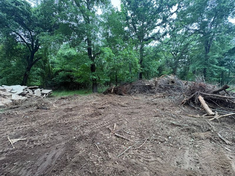Tree Removal
