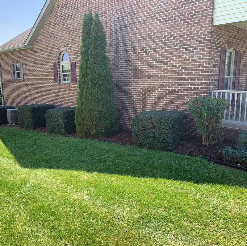 Landscaping