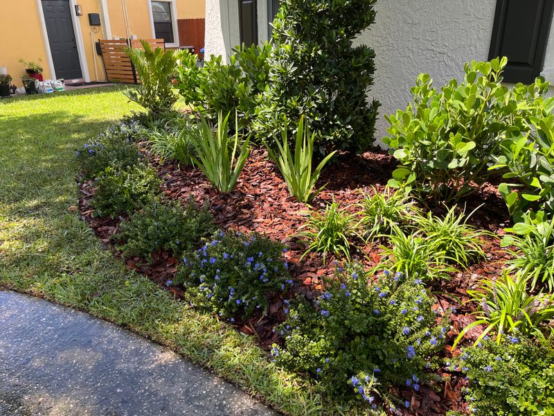 Landscape Design and Installation