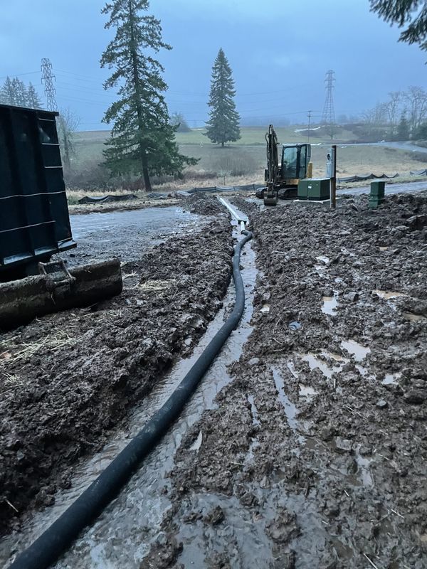 Land Clearing