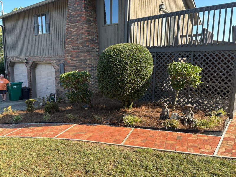 Landscape Design