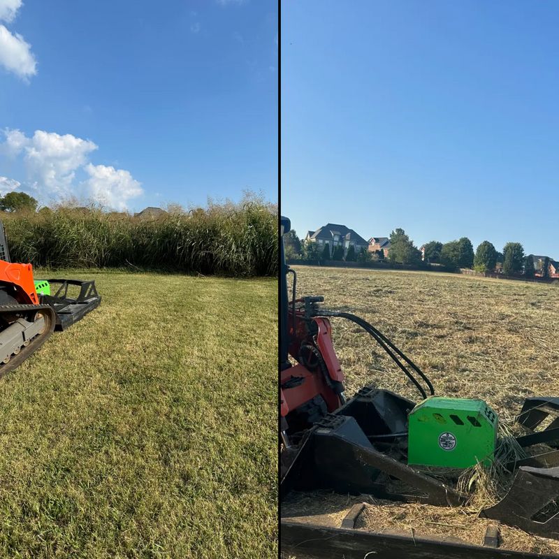 Land Clearing & Bushogging