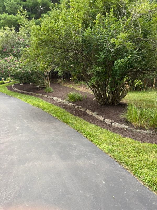 Landscape Installation