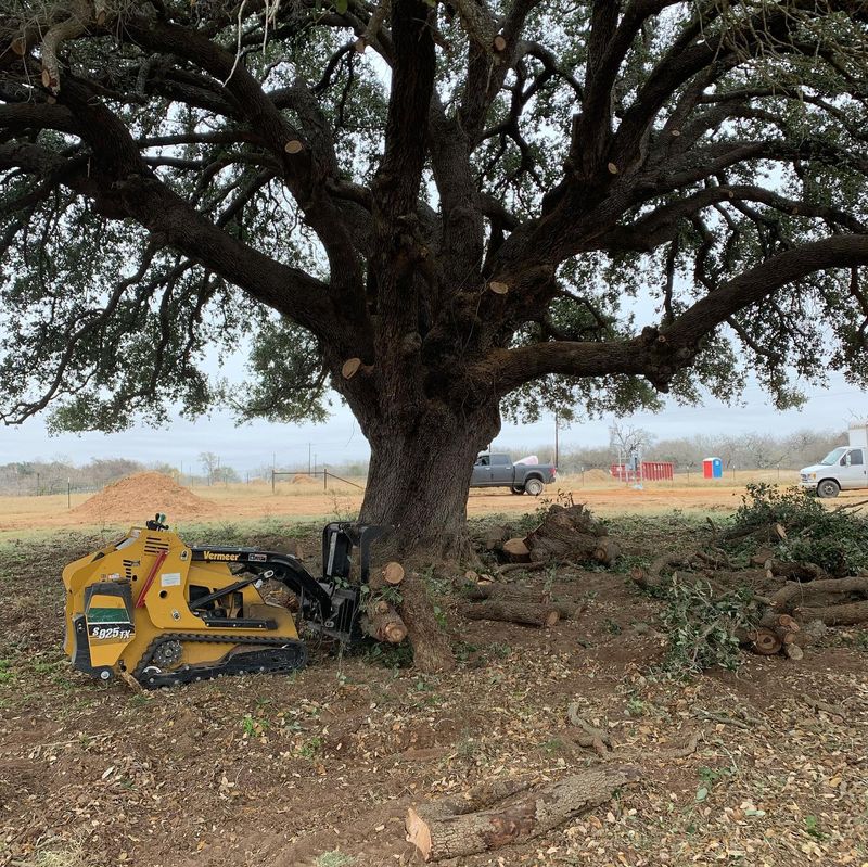 Tree Pruning