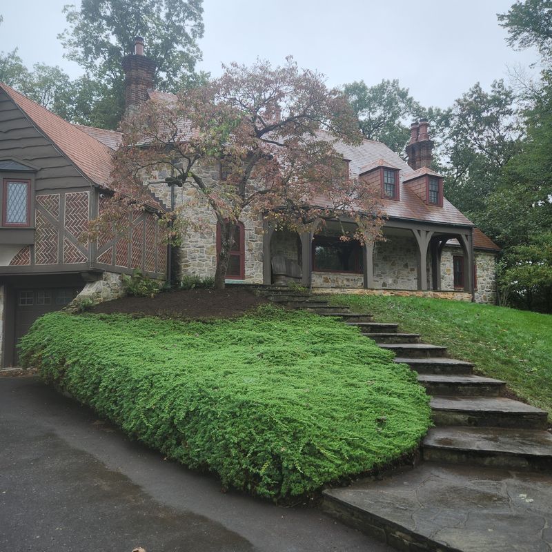 Landscaping