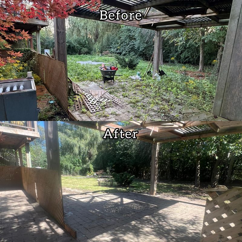 Transformative Backyard Revival: Clover Creek Landscaping's Expert Restoration and Clean-Up
