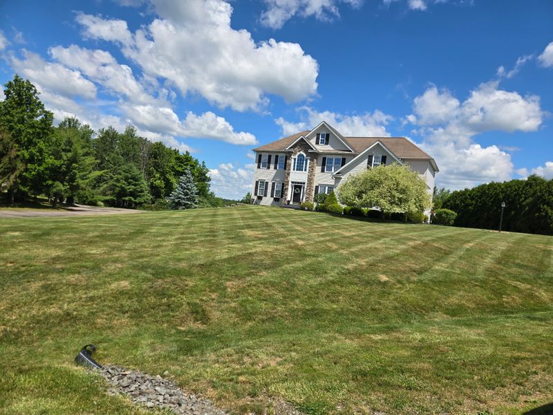 Lawn Maintenance
