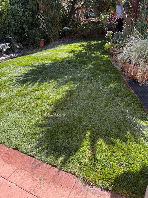 Landscaping