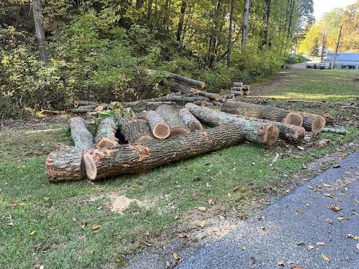Tree Removal