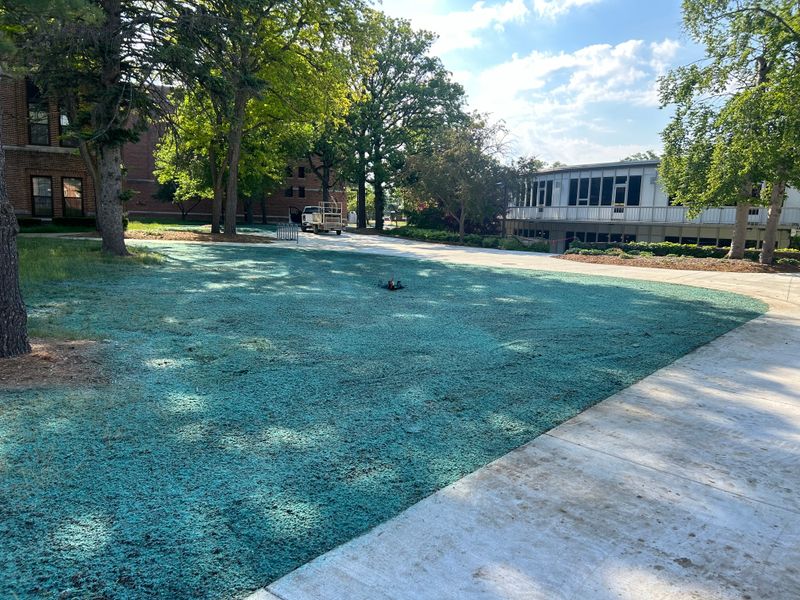 Hydroseeding