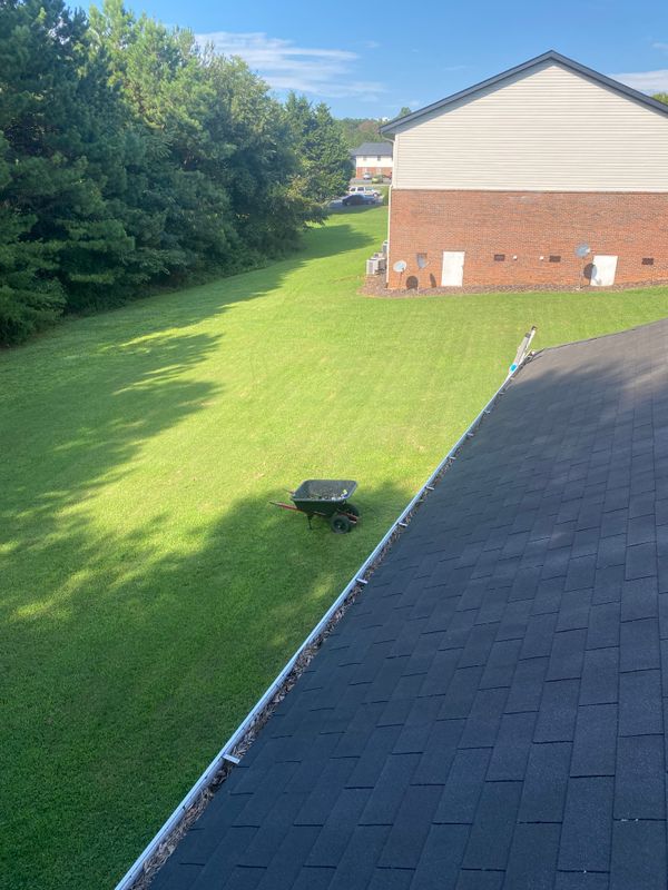 Fall Clean Up