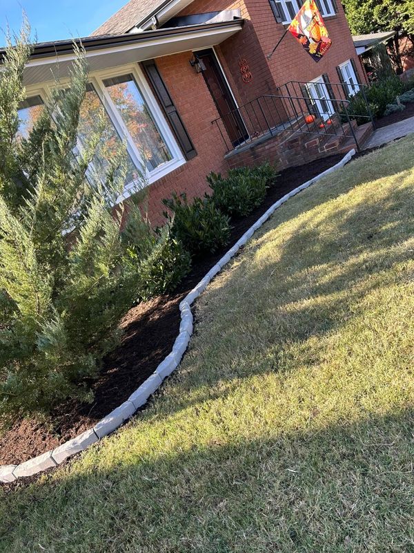 Landscape Design & Installation