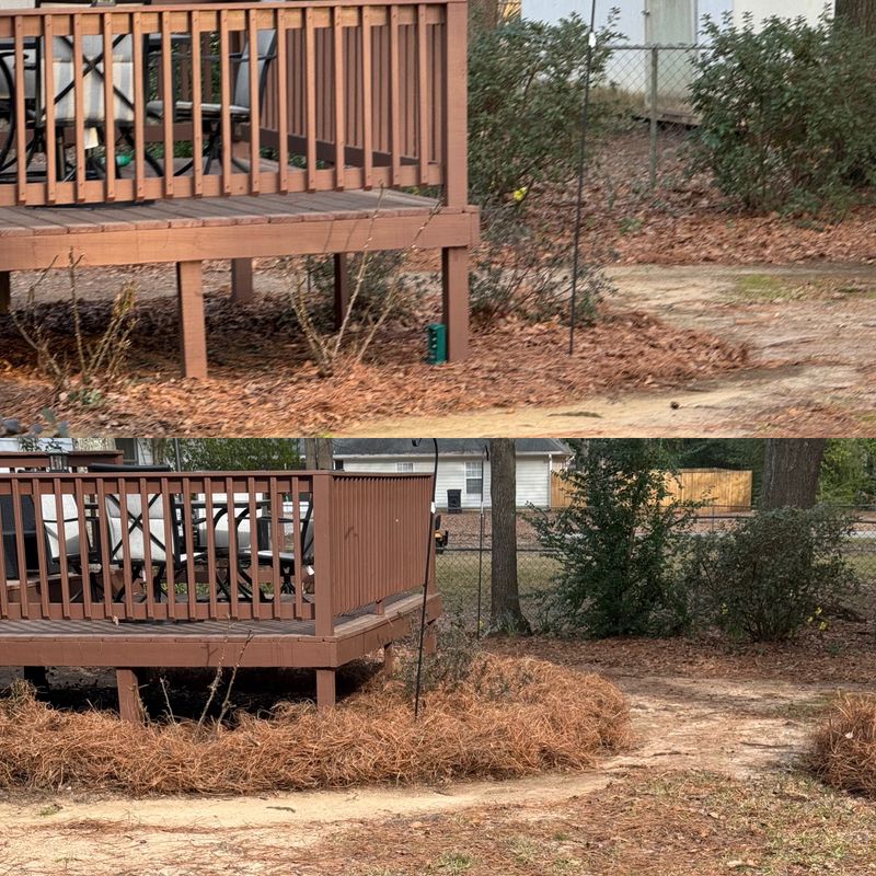 Land Managment 