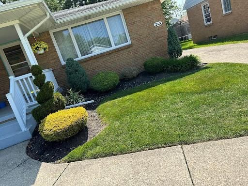 Lawn Care & Maintenance