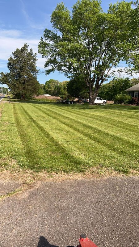 Lawn Mowing