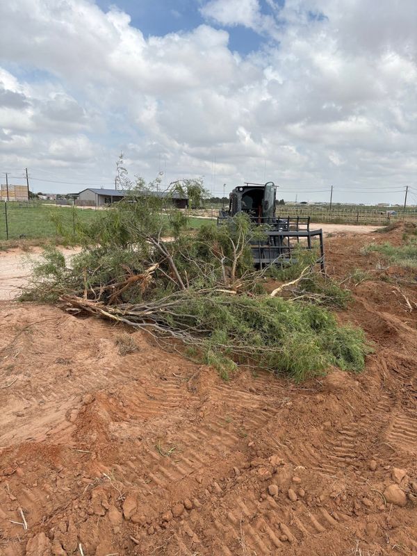 Land Clearing