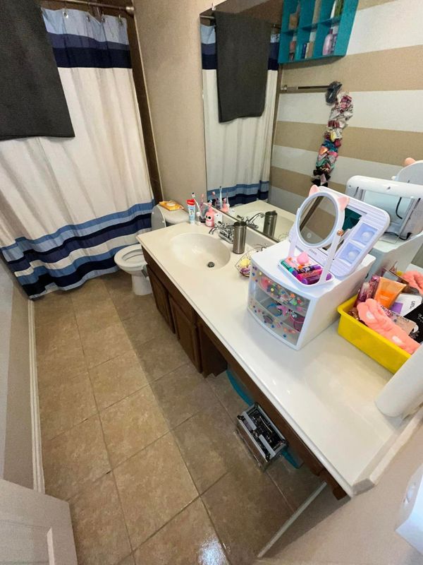 Bathroom Cleaning