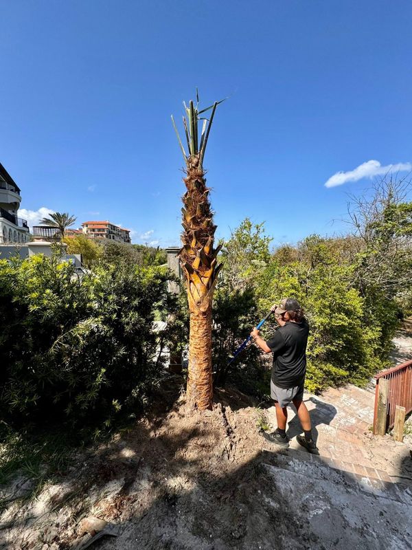 Landscaping Installation & Design
