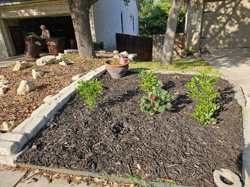 Mulch Installation
