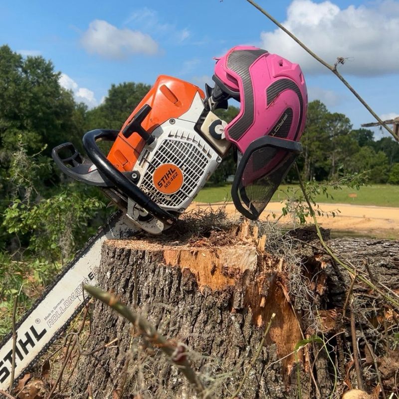 Tree Services