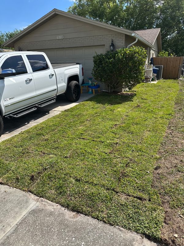 Sod Installation