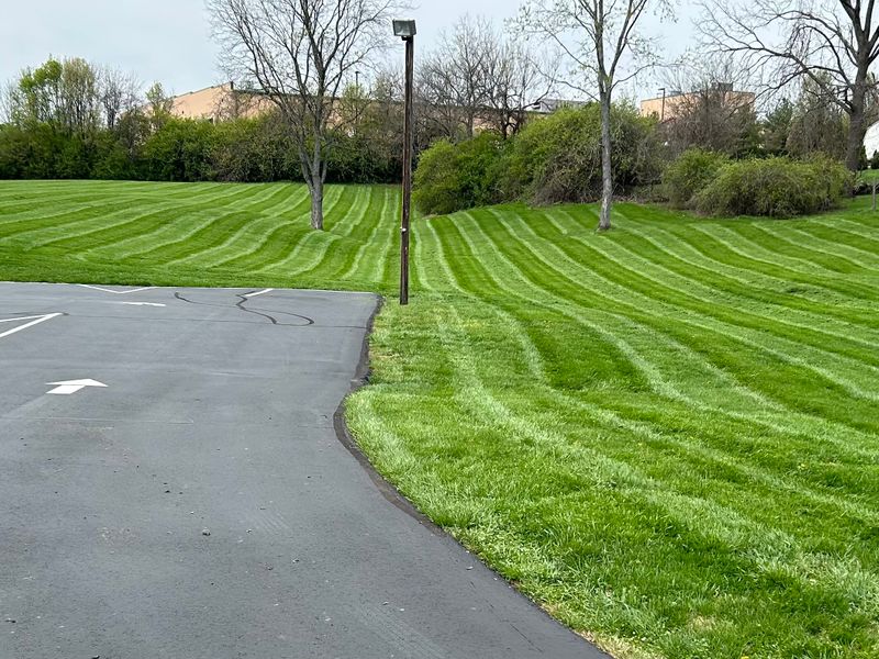 Commercial Lawn Care & Landscaping