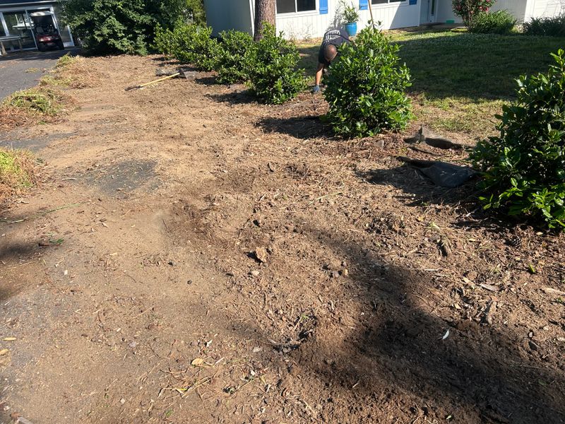Shrub and Plant Trimming