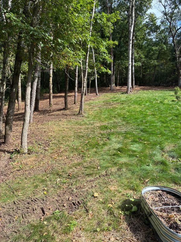 Land Clearing