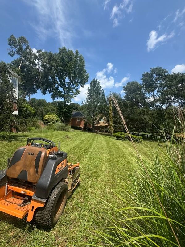 Lawn Mowing