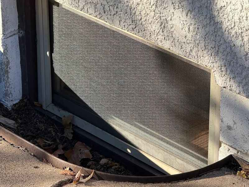 Window Rescreen