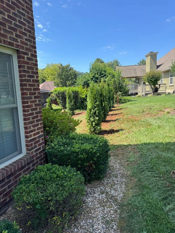 Landscape Design