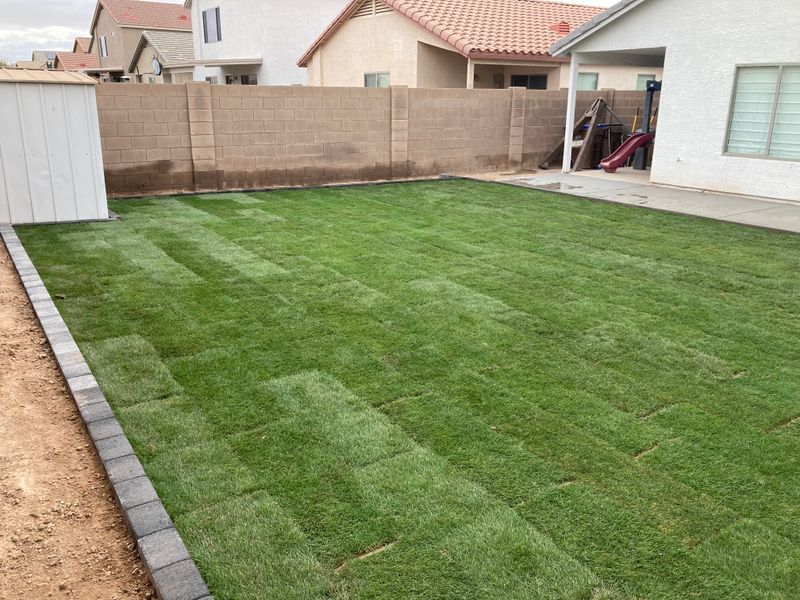 Lawn Aeration
