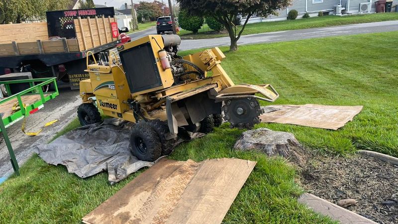 Mulch Delivery