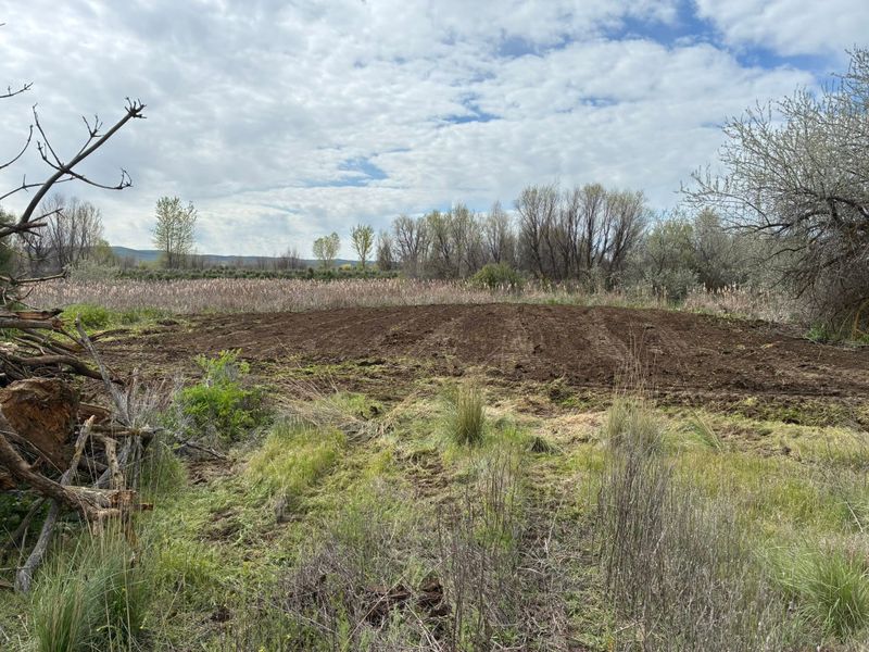 Land Clearing