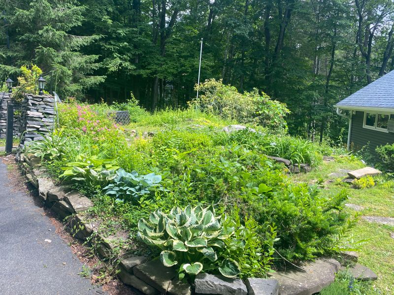 Landscape Design
