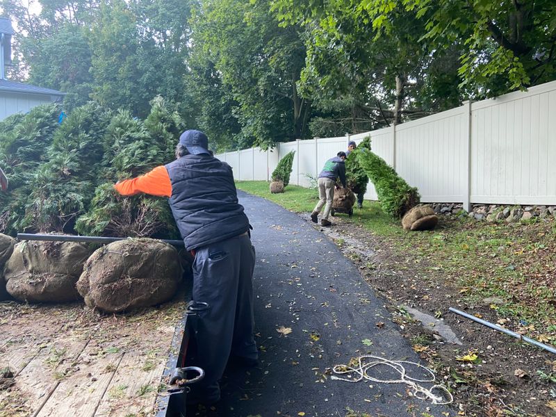 Hardscaping