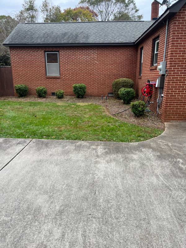 Shrub Trimming gallery