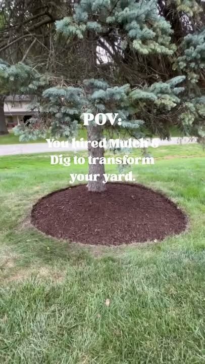 Softscaping Design & Installation