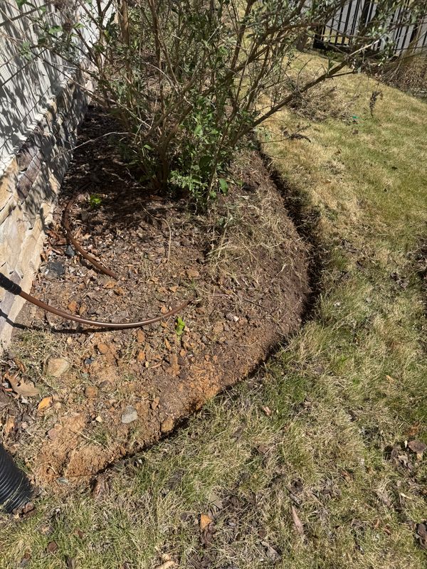 Pruning