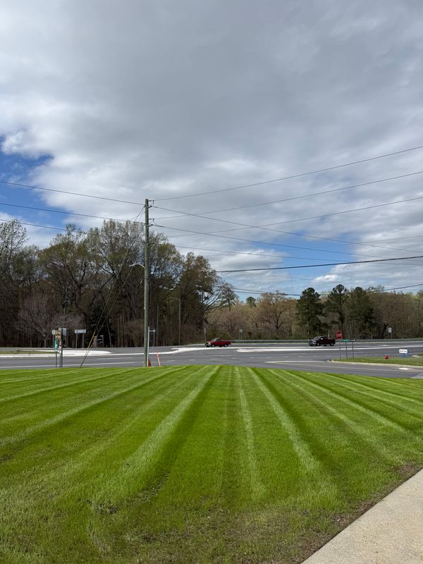 Lawn Maintenance