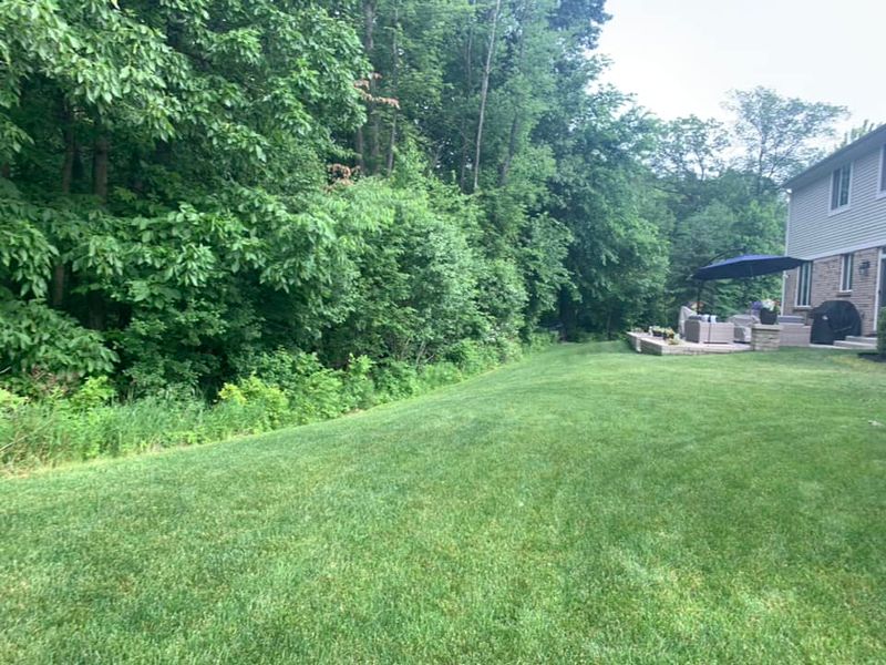 Tree Removal gallery