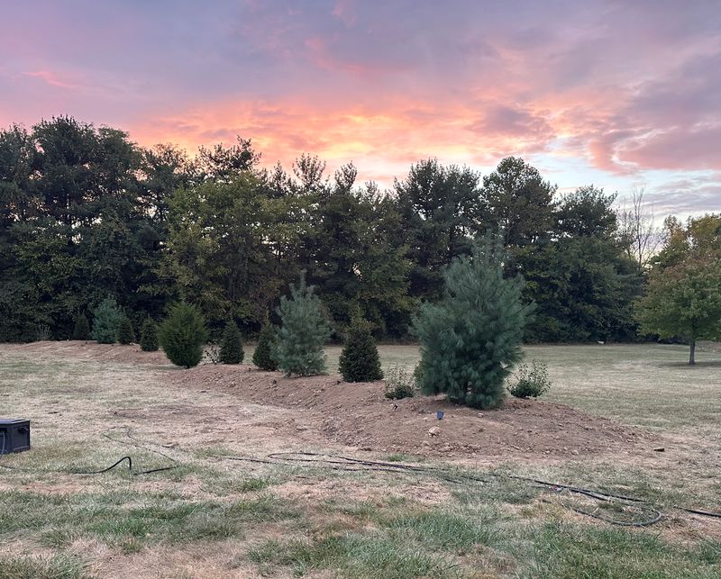 Sod and Grass Seed Installation