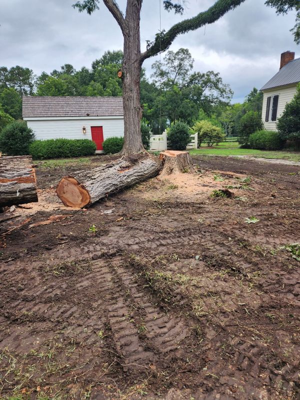 Landscaping