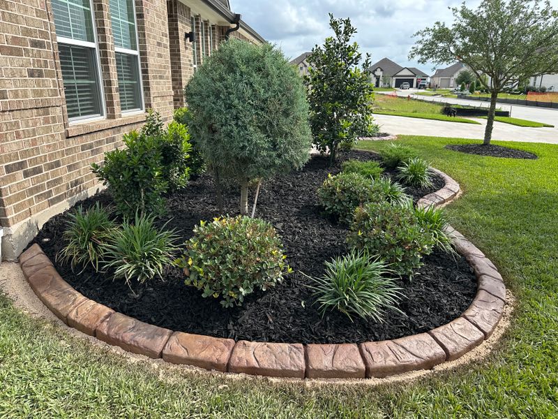 Landscape Border Systems