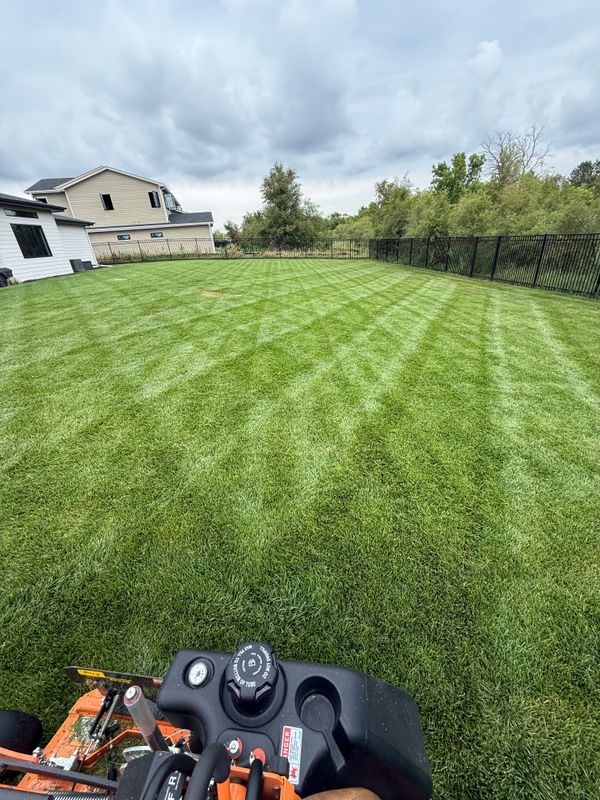 Lawn Maintenance